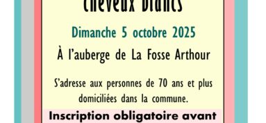 cheveux blancs