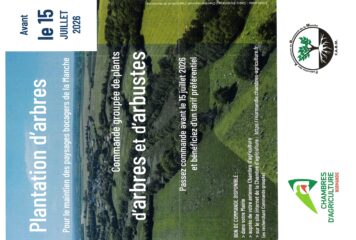 Plantation d’arbres – Commande groupée