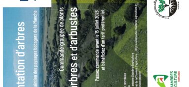 Plantation d’arbres – Commande groupée